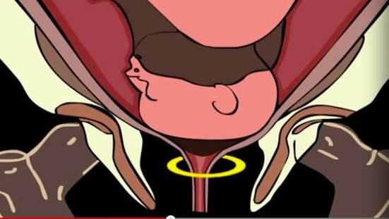 timg.jpg
