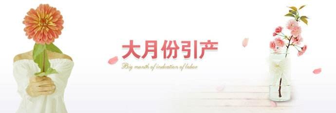 引产13.jpg